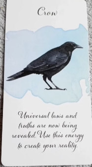 Divine Feather Messenger